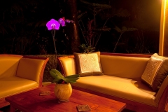 lanai_orchid