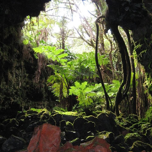 volcano national park big island hawaii