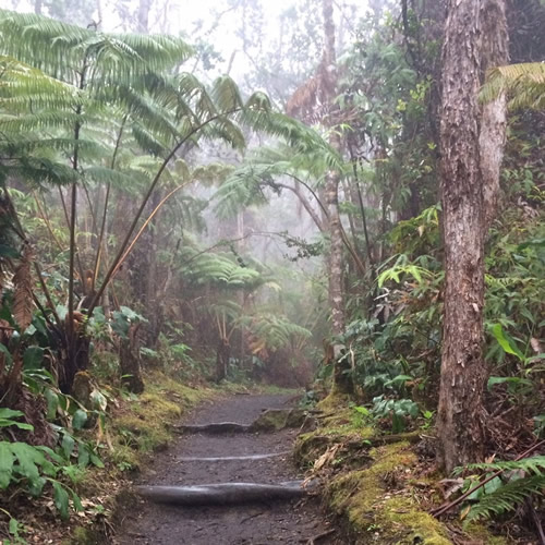 volcano national park big island hawaii